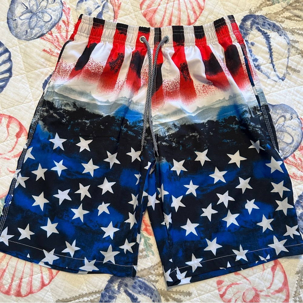 Patriotic Star-Patterned Men's Swim shorts.